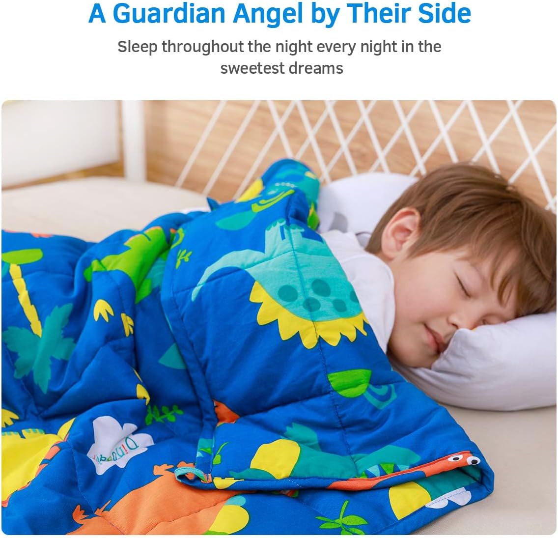 Mr. Sandman 恐龍公園加壓被系列 Dinosaur Park Weighted Blanket Series
