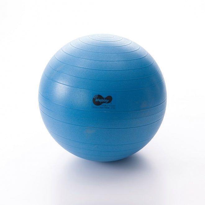 Weplay 防爆球-65cm Burst-Proof Ball - 65cm