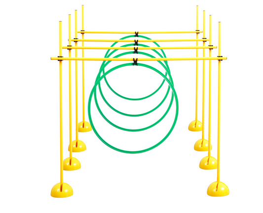 Grampus 障礙鑽跨欄 Obstacle Hurdle & Hoop Agility Set