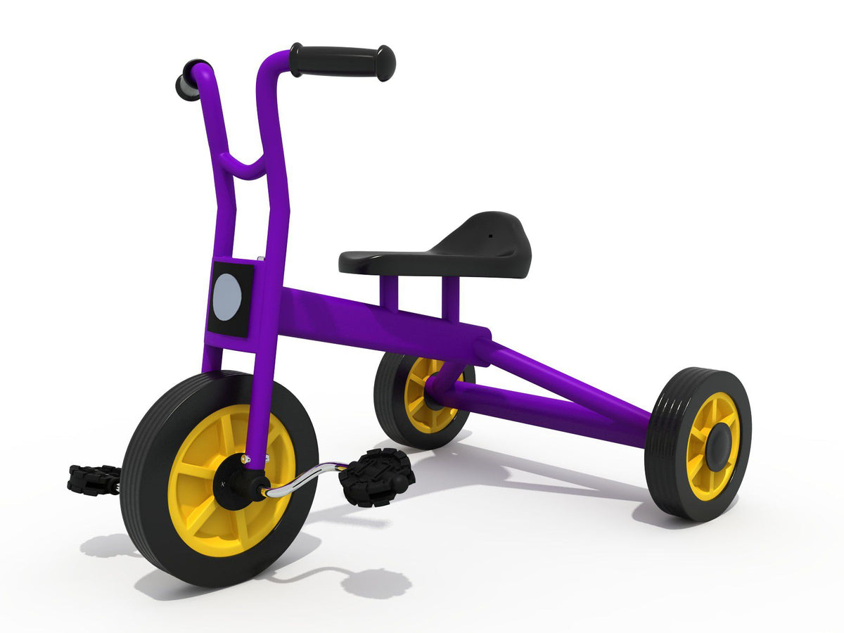 幼兒三輪車 Edusante Flip Tricycle