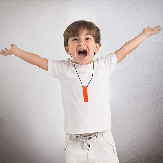 Seeway 感統咀嚼LEGO項鍊 5件組 Chew LEGO Necklaces – 5 Pack