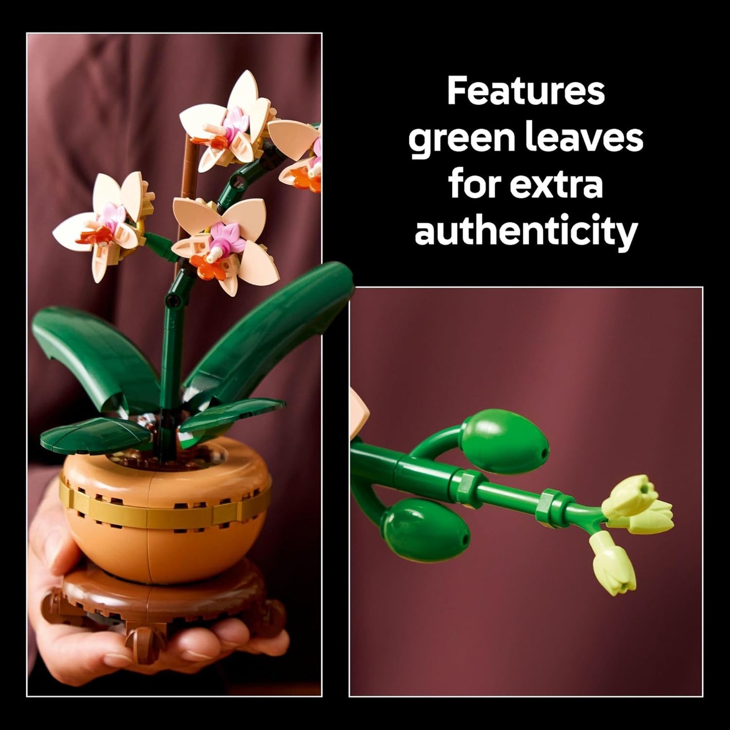 LEGO 迷你蘭花植物系列 LEGO Botanicals Mini Orchid