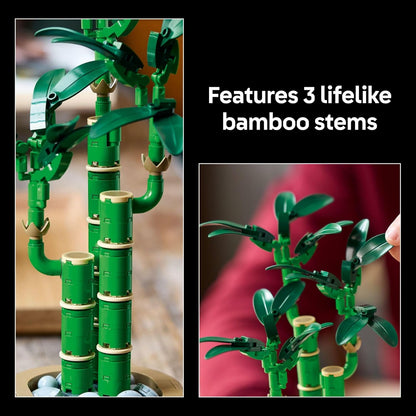 LEGO 幸運竹植物系列 Lucky Bamboo