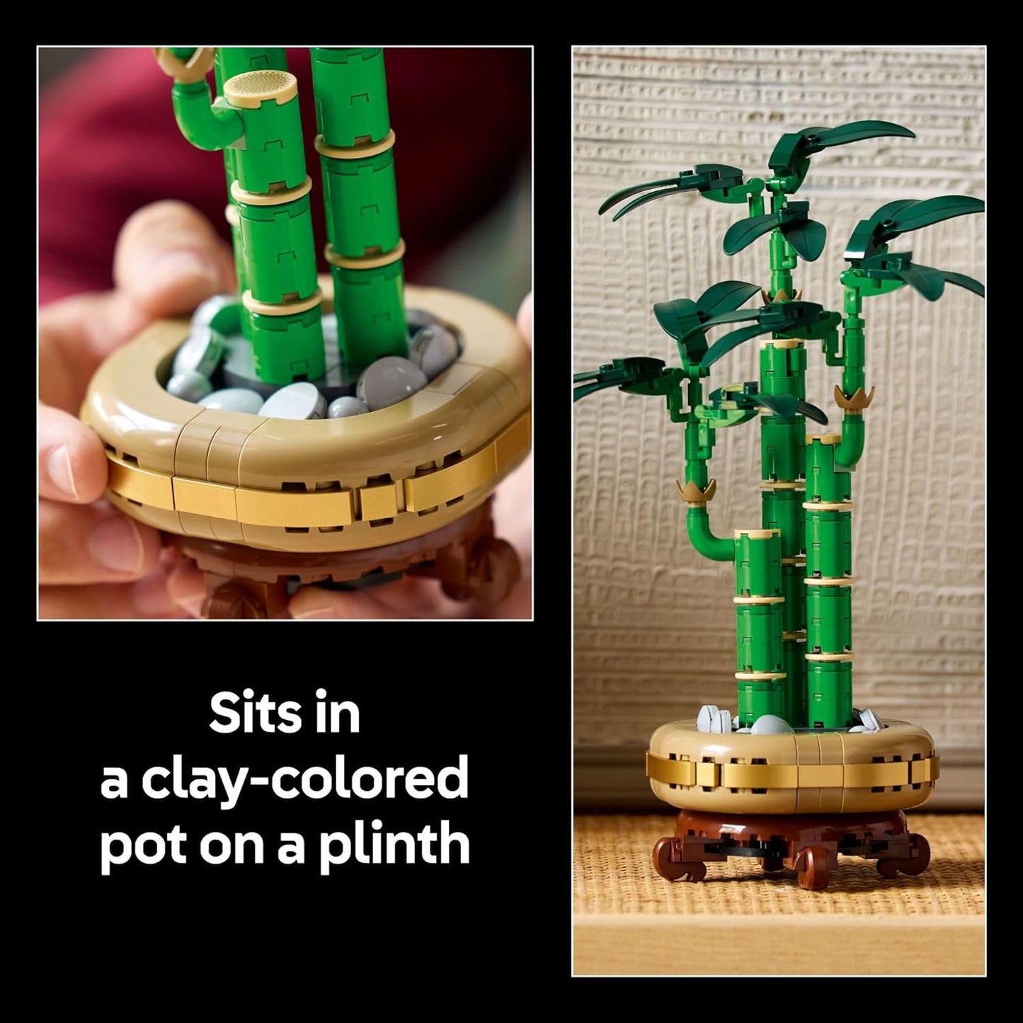LEGO 幸運竹植物系列 Lucky Bamboo