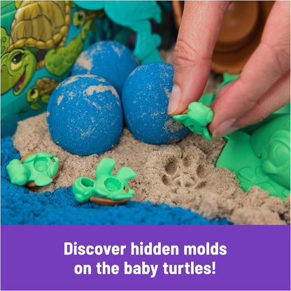 美國Kinetic Project Planet Turtle Beach 海龜沙灘探索組