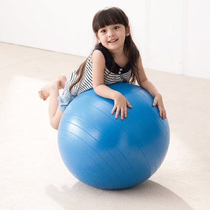 Weplay 防爆球 65cm Burst-Proof Ball - 65cm