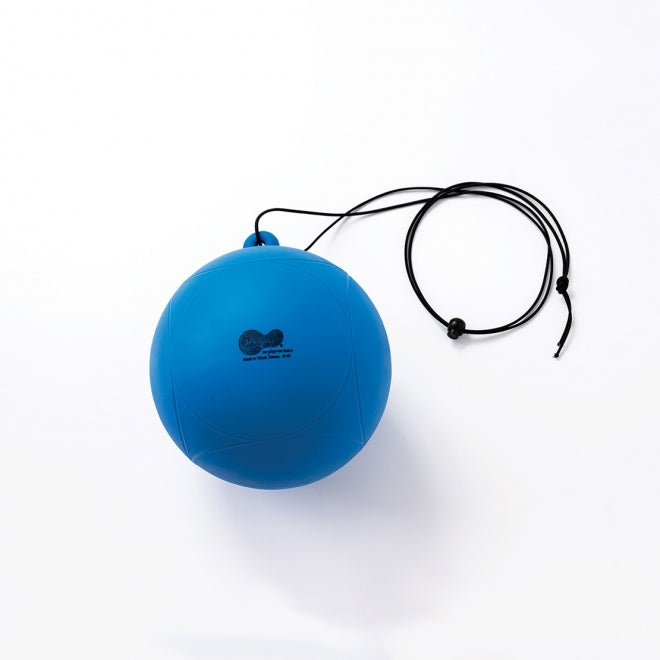 Weplay 迴旋球 Gyro Ball