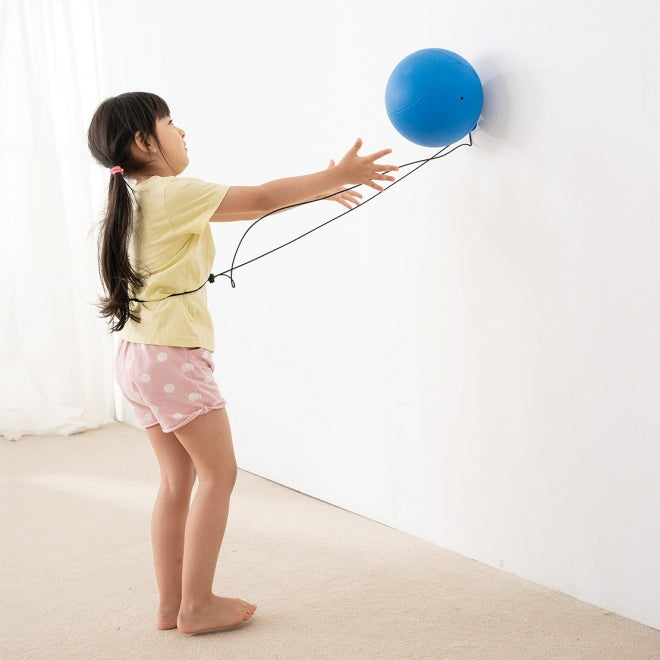 Weplay 迴旋球 Gyro Ball