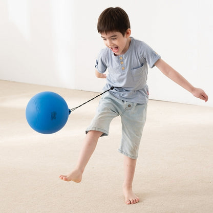 Weplay 迴旋球 Gyro Ball