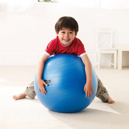 Weplay 防爆球 65cm Burst-Proof Ball - 65cm