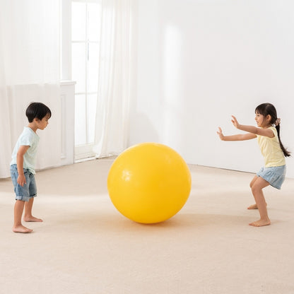Weplay 彈力大球 85cm Bouncing Giant Ball - 85cm