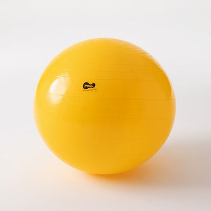 Weplay 彈力大球 85cm Bouncing Giant Ball - 85cm