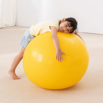 Weplay 彈力大球 85cm Bouncing Giant Ball - 85cm