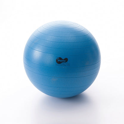 Weplay 防爆球 65cm Burst-Proof Ball - 65cm