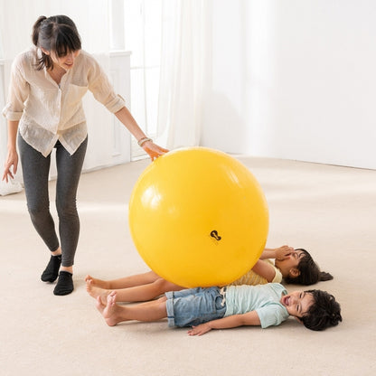 Weplay 彈力大球 85cm Bouncing Giant Ball - 85cm