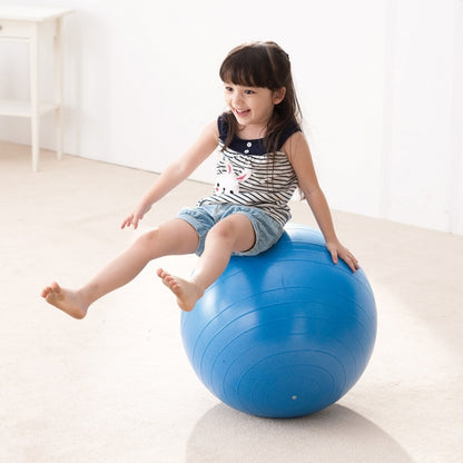 Weplay 防爆球 65cm Burst-Proof Ball - 65cm