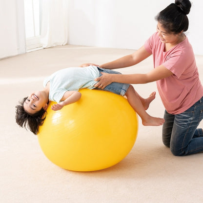 Weplay 彈力大球 85cm Bouncing Giant Ball - 85cm