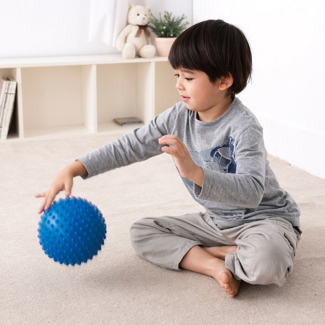 Weplay 觸覺球-四種尺寸 Tactile Balls - Four Size