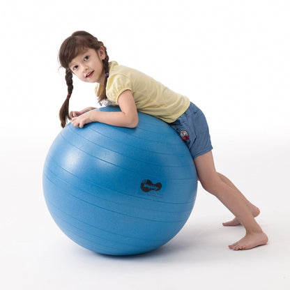 Weplay 防爆球 65cm Burst-Proof Ball - 65cm