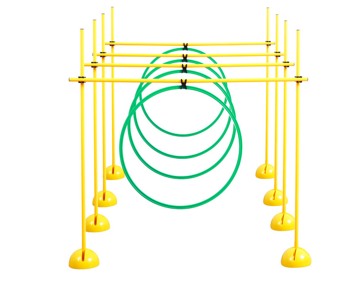 Grampus 障礙鑽跨欄 Obstacle Hurdle & Hoop Agility Set