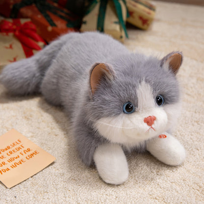 40cm 仿真布偶猫會發聲公仔 Simulation Ragdoll Cat Plush