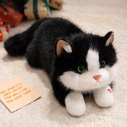 40cm 仿真布偶猫會發聲公仔 Simulation Ragdoll Cat Plush