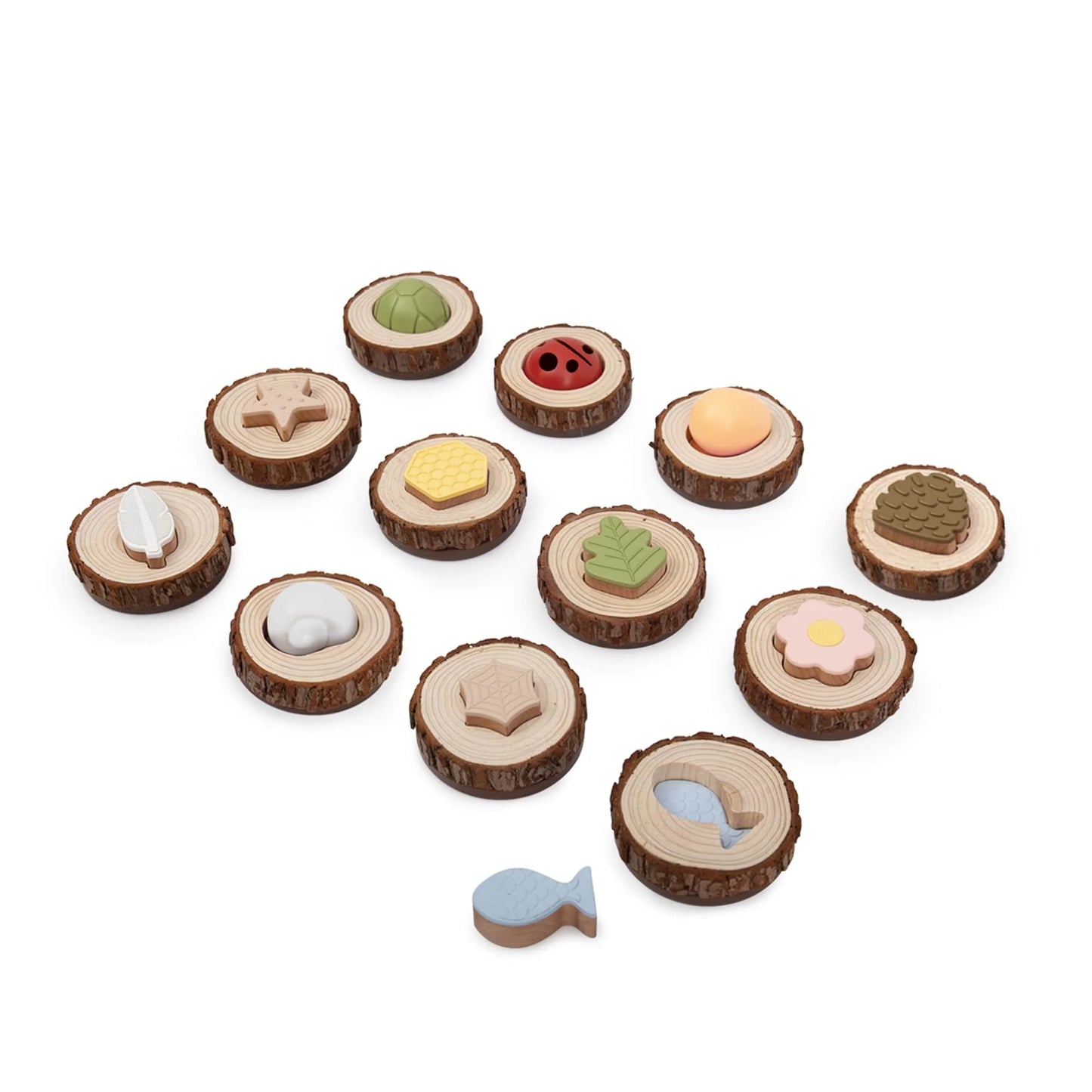 Guidecraft 自然觸感記憶配對組 Nature Feel and Find