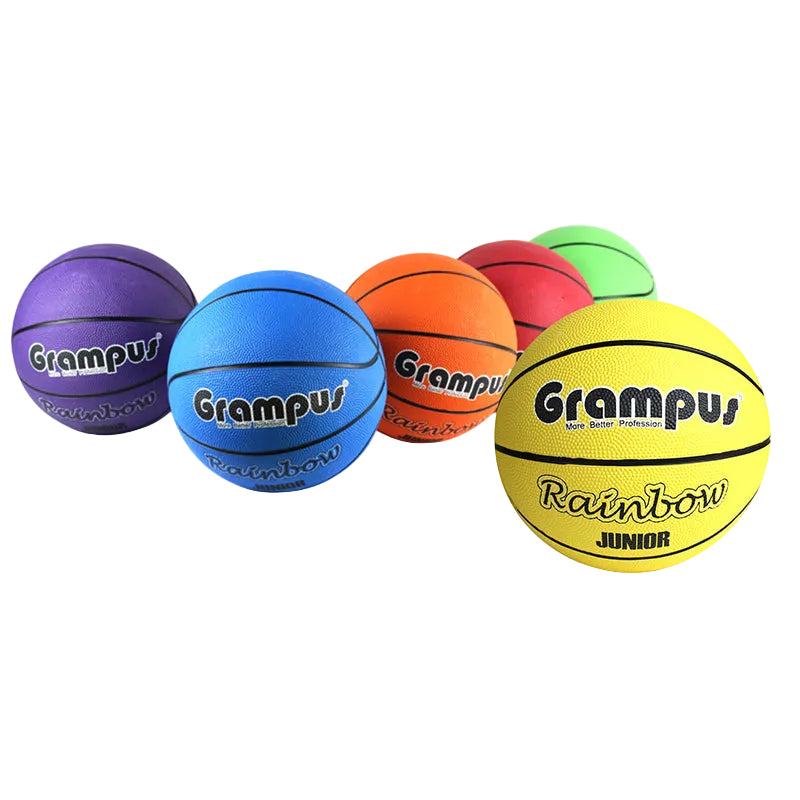 Grampus 彩虹兒童籃球（6 隻裝）21cm Rainbow Kids Basketball Set of 6